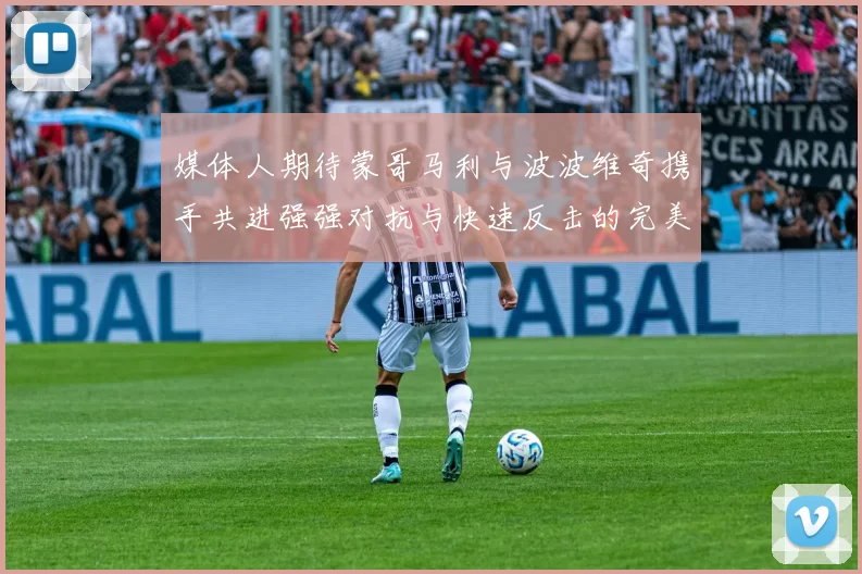 媒体人期待蒙哥马利与波波维奇携手共进强强对抗与快速反击的完美结合