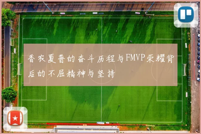 香农夏普的奋斗历程与FMVP荣耀背后的不屈精神与坚持